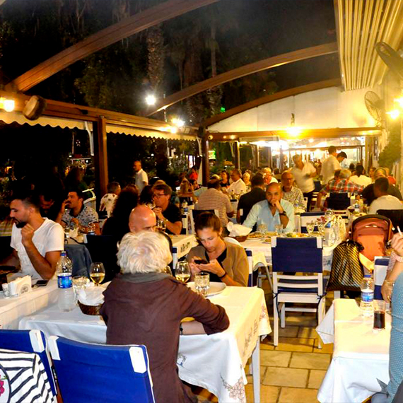 Ege Zeytinleri ve Yağı